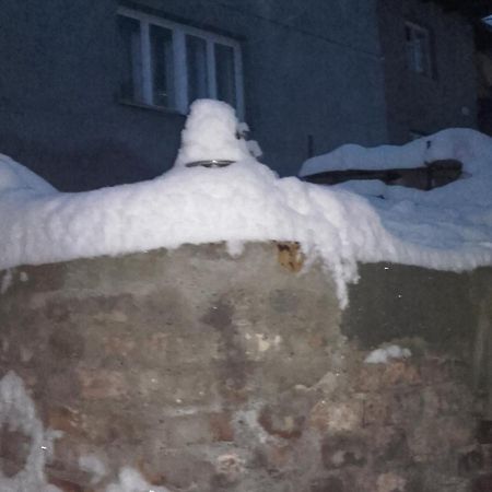 U Babicky A Jeji Psi Smecky Vendégház Weselitschko Kültér fotó